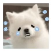 著名话唠表演艺术家