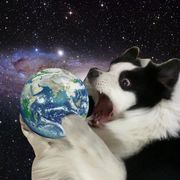 塔塔