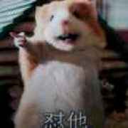 上吧      皮皮虾