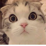 破游戏，还不出