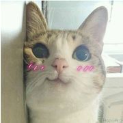 飞在天上的杂兵