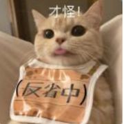 木木