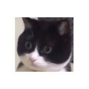 白露
