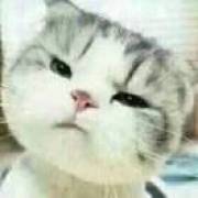 ꧁勼艉狐ོྂཾ࿆࿐꧂