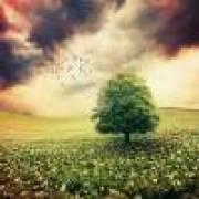 卖烧饼的小老头