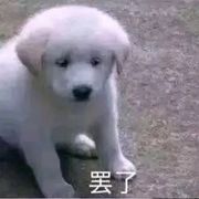 未殇大人