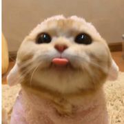 是一瓶酸奶