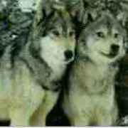 操纵云彩的青年