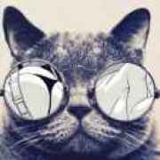 喵君拯救地球。