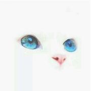 宇宙无敌的小明