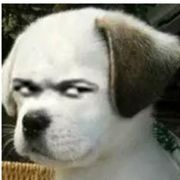 维森莫•拉摩帥