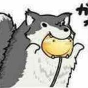 西伯利亚大尾巴狼