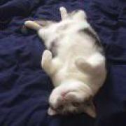 狂奔油菜花 🚲