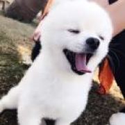 龙先生