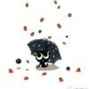 侧面军＆白～辰～猫