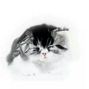 三拳打死小绿领