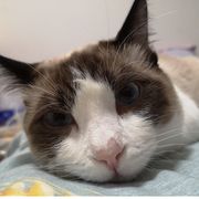 🧽海绵宝宝🧽