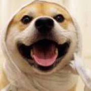 努力努力再努力