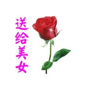 ℳ๓₯㎕°小辉