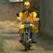 顾念卑微的顾念