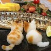 【琉璃殿】司马傲