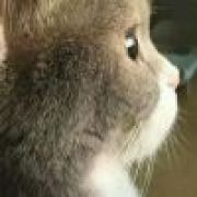 你好啊，仲崇轩