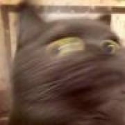 迷之少女手持二踢脚