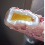 玩游戏的倒霉熊