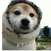 👿～vampire ～🐒