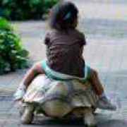 骑着乌龟上高速