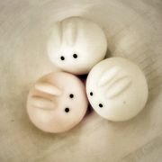 兔兔兔兔(›´ω`‹ )