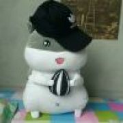 小小实习占卜师