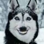 ꧁༺空༒劫༻꧂