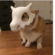 聚光灯-锁海工作室