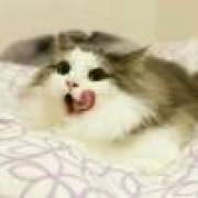 悠夢の琉璃铃§渟