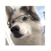 一杯清酒半浮生