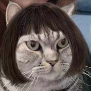 李笑君不是李奶奶