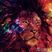 🔥🔥🔥🔥🔥🔥🔥