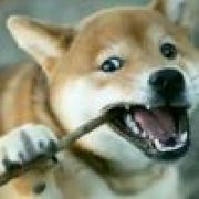 ꧁༺将⃢⃢☬⃢⃢臣༻꧂