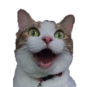 哇妈妈这个人好帅