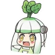 富贵竹的水培架