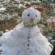 手机用户42383405