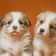 手机用户18708299