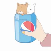 想和先生谈恋爱