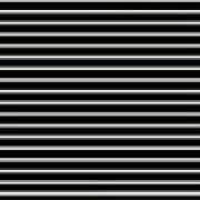 👹放縱不羈👺