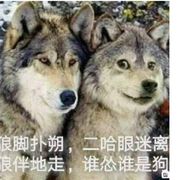 爱屋及乌