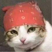 牛逼哄哄的能量瓶小伙