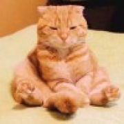 兮大王-官方吉祥物