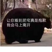 今晚要早睡