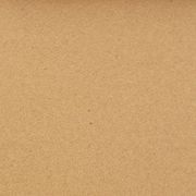 脱氧核糖核苷酸